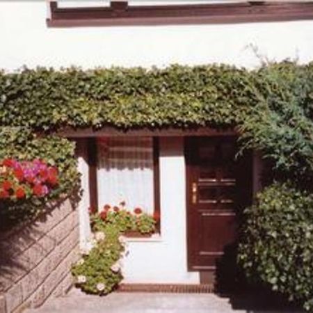 Ferienwohnung Ribnitz Most 901 Εξωτερικό φωτογραφία